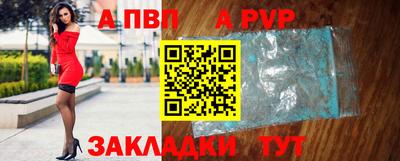 стаф Гай