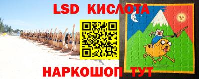 стаф Гай