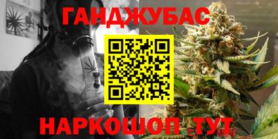 стаф Гай