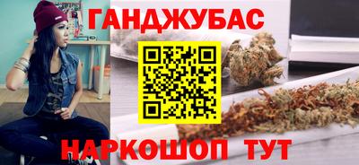 стаф Гай