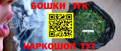 стаф Гай