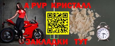 стаф Гай