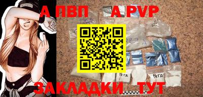 стаф Гай